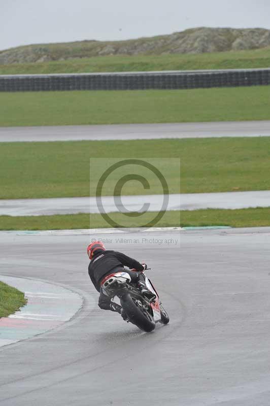 Motorcycle action photographs;anglesey circuit;anglesey trackday photographs;event digital images;eventdigitalimages;no limits trackday;oulton park circuit cheshire;peter wileman photography;trackday;trackday digital images;trackday photos;ty croes circuit wales