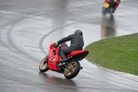 Motorcycle-action-photographs;anglesey-circuit;anglesey-trackday-photographs;event-digital-images;eventdigitalimages;no-limits-trackday;oulton-park-circuit-cheshire;peter-wileman-photography;trackday;trackday-digital-images;trackday-photos;ty-croes-circuit-wales