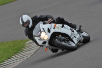 Motorcycle-action-photographs;anglesey-circuit;anglesey-trackday-photographs;event-digital-images;eventdigitalimages;no-limits-trackday;oulton-park-circuit-cheshire;peter-wileman-photography;trackday;trackday-digital-images;trackday-photos;ty-croes-circuit-wales