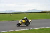 Motorcycle-action-photographs;anglesey-circuit;anglesey-trackday-photographs;event-digital-images;eventdigitalimages;no-limits-trackday;oulton-park-circuit-cheshire;peter-wileman-photography;trackday;trackday-digital-images;trackday-photos;ty-croes-circuit-wales