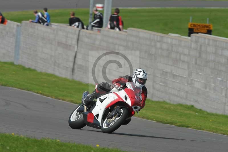 Motorcycle action photographs;anglesey circuit;anglesey trackday photographs;event digital images;eventdigitalimages;no limits trackday;oulton park circuit cheshire;peter wileman photography;trackday;trackday digital images;trackday photos;ty croes circuit wales