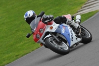 Motorcycle-action-photographs;anglesey-circuit;anglesey-trackday-photographs;event-digital-images;eventdigitalimages;no-limits-trackday;oulton-park-circuit-cheshire;peter-wileman-photography;trackday;trackday-digital-images;trackday-photos;ty-croes-circuit-wales