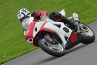 Motorcycle-action-photographs;anglesey-circuit;anglesey-trackday-photographs;event-digital-images;eventdigitalimages;no-limits-trackday;oulton-park-circuit-cheshire;peter-wileman-photography;trackday;trackday-digital-images;trackday-photos;ty-croes-circuit-wales