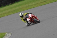 Motorcycle-action-photographs;anglesey-circuit;anglesey-trackday-photographs;event-digital-images;eventdigitalimages;no-limits-trackday;oulton-park-circuit-cheshire;peter-wileman-photography;trackday;trackday-digital-images;trackday-photos;ty-croes-circuit-wales