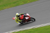 Motorcycle-action-photographs;anglesey-circuit;anglesey-trackday-photographs;event-digital-images;eventdigitalimages;no-limits-trackday;oulton-park-circuit-cheshire;peter-wileman-photography;trackday;trackday-digital-images;trackday-photos;ty-croes-circuit-wales