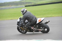 Motorcycle-action-photographs;anglesey-circuit;anglesey-trackday-photographs;event-digital-images;eventdigitalimages;no-limits-trackday;oulton-park-circuit-cheshire;peter-wileman-photography;trackday;trackday-digital-images;trackday-photos;ty-croes-circuit-wales