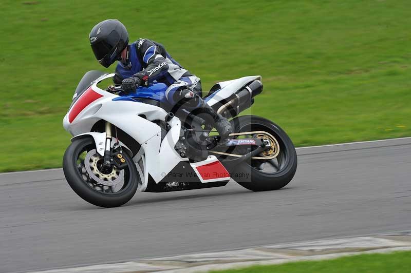 Motorcycle action photographs;anglesey circuit;anglesey trackday photographs;event digital images;eventdigitalimages;no limits trackday;oulton park circuit cheshire;peter wileman photography;trackday;trackday digital images;trackday photos;ty croes circuit wales