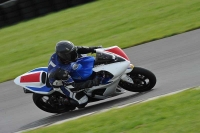 Motorcycle-action-photographs;anglesey-circuit;anglesey-trackday-photographs;event-digital-images;eventdigitalimages;no-limits-trackday;oulton-park-circuit-cheshire;peter-wileman-photography;trackday;trackday-digital-images;trackday-photos;ty-croes-circuit-wales