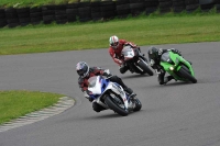 Motorcycle-action-photographs;anglesey-circuit;anglesey-trackday-photographs;event-digital-images;eventdigitalimages;no-limits-trackday;oulton-park-circuit-cheshire;peter-wileman-photography;trackday;trackday-digital-images;trackday-photos;ty-croes-circuit-wales