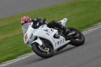 Motorcycle-action-photographs;anglesey-circuit;anglesey-trackday-photographs;event-digital-images;eventdigitalimages;no-limits-trackday;oulton-park-circuit-cheshire;peter-wileman-photography;trackday;trackday-digital-images;trackday-photos;ty-croes-circuit-wales