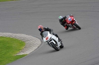 Motorcycle-action-photographs;anglesey-circuit;anglesey-trackday-photographs;event-digital-images;eventdigitalimages;no-limits-trackday;oulton-park-circuit-cheshire;peter-wileman-photography;trackday;trackday-digital-images;trackday-photos;ty-croes-circuit-wales