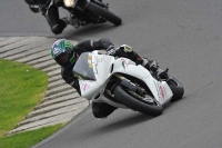 Motorcycle-action-photographs;anglesey-circuit;anglesey-trackday-photographs;event-digital-images;eventdigitalimages;no-limits-trackday;oulton-park-circuit-cheshire;peter-wileman-photography;trackday;trackday-digital-images;trackday-photos;ty-croes-circuit-wales