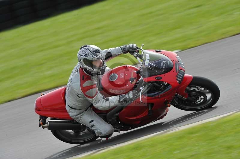 Motorcycle action photographs;anglesey circuit;anglesey trackday photographs;event digital images;eventdigitalimages;no limits trackday;oulton park circuit cheshire;peter wileman photography;trackday;trackday digital images;trackday photos;ty croes circuit wales