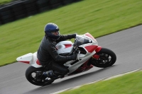 Motorcycle-action-photographs;anglesey-circuit;anglesey-trackday-photographs;event-digital-images;eventdigitalimages;no-limits-trackday;oulton-park-circuit-cheshire;peter-wileman-photography;trackday;trackday-digital-images;trackday-photos;ty-croes-circuit-wales