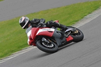 Motorcycle-action-photographs;anglesey-circuit;anglesey-trackday-photographs;event-digital-images;eventdigitalimages;no-limits-trackday;oulton-park-circuit-cheshire;peter-wileman-photography;trackday;trackday-digital-images;trackday-photos;ty-croes-circuit-wales