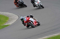 Motorcycle-action-photographs;anglesey-circuit;anglesey-trackday-photographs;event-digital-images;eventdigitalimages;no-limits-trackday;oulton-park-circuit-cheshire;peter-wileman-photography;trackday;trackday-digital-images;trackday-photos;ty-croes-circuit-wales