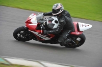 Motorcycle-action-photographs;anglesey-circuit;anglesey-trackday-photographs;event-digital-images;eventdigitalimages;no-limits-trackday;oulton-park-circuit-cheshire;peter-wileman-photography;trackday;trackday-digital-images;trackday-photos;ty-croes-circuit-wales