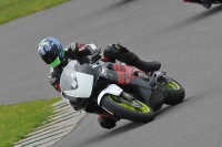 Motorcycle-action-photographs;anglesey-circuit;anglesey-trackday-photographs;event-digital-images;eventdigitalimages;no-limits-trackday;oulton-park-circuit-cheshire;peter-wileman-photography;trackday;trackday-digital-images;trackday-photos;ty-croes-circuit-wales