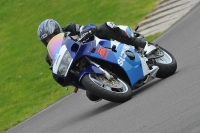 Motorcycle-action-photographs;anglesey-circuit;anglesey-trackday-photographs;event-digital-images;eventdigitalimages;no-limits-trackday;oulton-park-circuit-cheshire;peter-wileman-photography;trackday;trackday-digital-images;trackday-photos;ty-croes-circuit-wales