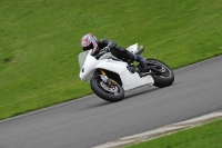 Motorcycle-action-photographs;anglesey-circuit;anglesey-trackday-photographs;event-digital-images;eventdigitalimages;no-limits-trackday;oulton-park-circuit-cheshire;peter-wileman-photography;trackday;trackday-digital-images;trackday-photos;ty-croes-circuit-wales