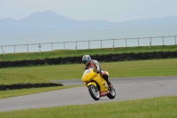 Motorcycle-action-photographs;anglesey-circuit;anglesey-trackday-photographs;event-digital-images;eventdigitalimages;no-limits-trackday;oulton-park-circuit-cheshire;peter-wileman-photography;trackday;trackday-digital-images;trackday-photos;ty-croes-circuit-wales