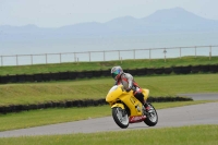 Motorcycle-action-photographs;anglesey-circuit;anglesey-trackday-photographs;event-digital-images;eventdigitalimages;no-limits-trackday;oulton-park-circuit-cheshire;peter-wileman-photography;trackday;trackday-digital-images;trackday-photos;ty-croes-circuit-wales