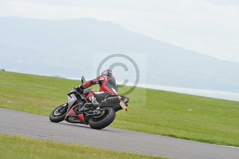 Motorcycle action photographs;anglesey circuit;anglesey trackday photographs;event digital images;eventdigitalimages;no limits trackday;oulton park circuit cheshire;peter wileman photography;trackday;trackday digital images;trackday photos;ty croes circuit wales