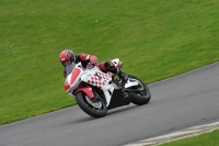 Motorcycle-action-photographs;anglesey-circuit;anglesey-trackday-photographs;event-digital-images;eventdigitalimages;no-limits-trackday;oulton-park-circuit-cheshire;peter-wileman-photography;trackday;trackday-digital-images;trackday-photos;ty-croes-circuit-wales