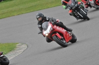 Motorcycle-action-photographs;anglesey-circuit;anglesey-trackday-photographs;event-digital-images;eventdigitalimages;no-limits-trackday;oulton-park-circuit-cheshire;peter-wileman-photography;trackday;trackday-digital-images;trackday-photos;ty-croes-circuit-wales