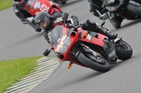 Motorcycle-action-photographs;anglesey-circuit;anglesey-trackday-photographs;event-digital-images;eventdigitalimages;no-limits-trackday;oulton-park-circuit-cheshire;peter-wileman-photography;trackday;trackday-digital-images;trackday-photos;ty-croes-circuit-wales