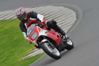 Motorcycle-action-photographs;anglesey-circuit;anglesey-trackday-photographs;event-digital-images;eventdigitalimages;no-limits-trackday;oulton-park-circuit-cheshire;peter-wileman-photography;trackday;trackday-digital-images;trackday-photos;ty-croes-circuit-wales