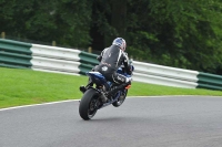 BLUE/WHITE BIKES