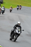 cadwell-park;cadwell-park-photographs;cadwell-trackday-photographs;enduro-digital-images;event-digital-images;eventdigitalimages;hopp-rider-training;peter-wileman-photography;racing-digital-images;trackday-digital-images;trackday-photos