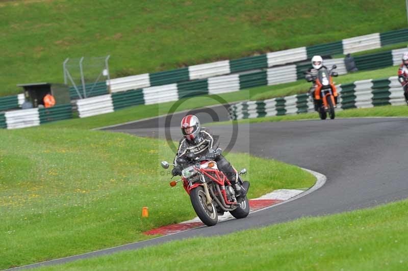 cadwell park;cadwell park photographs;cadwell trackday photographs;enduro digital images;event digital images;eventdigitalimages;hopp rider training;peter wileman photography;racing digital images;trackday digital images;trackday photos