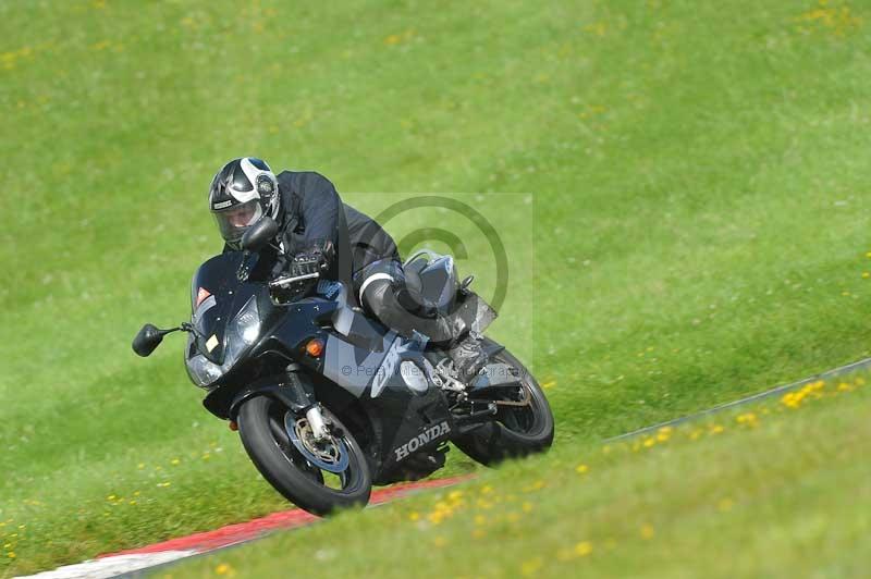 cadwell park;cadwell park photographs;cadwell trackday photographs;enduro digital images;event digital images;eventdigitalimages;hopp rider training;peter wileman photography;racing digital images;trackday digital images;trackday photos