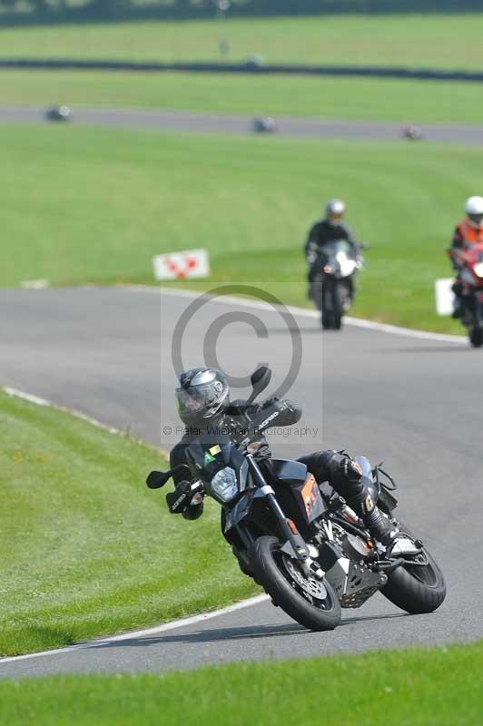 cadwell park;cadwell park photographs;cadwell trackday photographs;enduro digital images;event digital images;eventdigitalimages;hopp rider training;peter wileman photography;racing digital images;trackday digital images;trackday photos