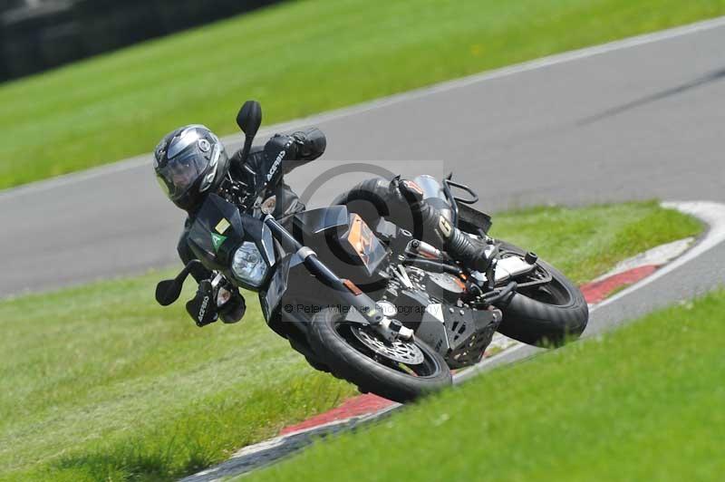 cadwell park;cadwell park photographs;cadwell trackday photographs;enduro digital images;event digital images;eventdigitalimages;hopp rider training;peter wileman photography;racing digital images;trackday digital images;trackday photos