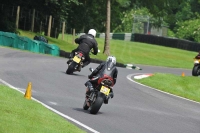 cadwell-park;cadwell-park-photographs;cadwell-trackday-photographs;enduro-digital-images;event-digital-images;eventdigitalimages;hopp-rider-training;peter-wileman-photography;racing-digital-images;trackday-digital-images;trackday-photos