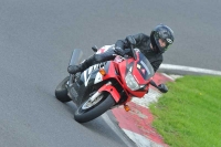 cadwell-park;cadwell-park-photographs;cadwell-trackday-photographs;enduro-digital-images;event-digital-images;eventdigitalimages;hopp-rider-training;peter-wileman-photography;racing-digital-images;trackday-digital-images;trackday-photos