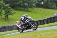 Motorcycle-action-photographs;Trackday-digital-images;cadwell;cadwell-park-photographs;event-digital-images;eventdigitalimages;motor-racing-louth-lincolnshire;no-limits-trackdays;peter-wileman-photography;trackday;trackday-photos