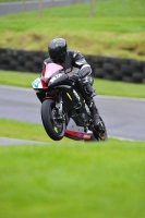 Motorcycle-action-photographs;Trackday-digital-images;cadwell;cadwell-park-photographs;event-digital-images;eventdigitalimages;motor-racing-louth-lincolnshire;no-limits-trackdays;peter-wileman-photography;trackday;trackday-photos