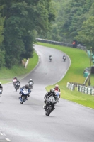 Motorcycle-action-photographs;Trackday-digital-images;cadwell;cadwell-park-photographs;event-digital-images;eventdigitalimages;motor-racing-louth-lincolnshire;no-limits-trackdays;peter-wileman-photography;trackday;trackday-photos