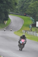 Motorcycle-action-photographs;Trackday-digital-images;cadwell;cadwell-park-photographs;event-digital-images;eventdigitalimages;motor-racing-louth-lincolnshire;no-limits-trackdays;peter-wileman-photography;trackday;trackday-photos