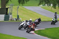 Motorcycle-action-photographs;Trackday-digital-images;cadwell;cadwell-park-photographs;event-digital-images;eventdigitalimages;motor-racing-louth-lincolnshire;no-limits-trackdays;peter-wileman-photography;trackday;trackday-photos