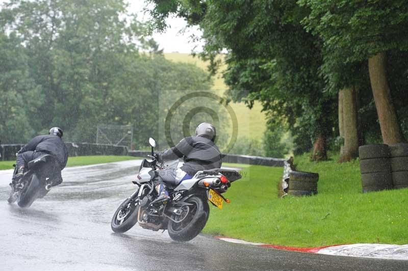 Motorcycle action photographs;Trackday digital images;cadwell;cadwell park photographs;event digital images;eventdigitalimages;motor racing louth lincolnshire;no limits trackdays;peter wileman photography;trackday;trackday photos