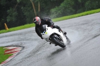 Motorcycle-action-photographs;Trackday-digital-images;cadwell;cadwell-park-photographs;event-digital-images;eventdigitalimages;motor-racing-louth-lincolnshire;no-limits-trackdays;peter-wileman-photography;trackday;trackday-photos