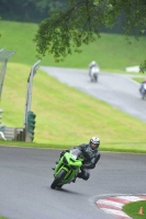 Motorcycle-action-photographs;Trackday-digital-images;cadwell;cadwell-park-photographs;event-digital-images;eventdigitalimages;motor-racing-louth-lincolnshire;no-limits-trackdays;peter-wileman-photography;trackday;trackday-photos