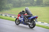 Motorcycle-action-photographs;Trackday-digital-images;cadwell;cadwell-park-photographs;event-digital-images;eventdigitalimages;motor-racing-louth-lincolnshire;no-limits-trackdays;peter-wileman-photography;trackday;trackday-photos