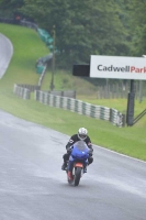 Motorcycle-action-photographs;Trackday-digital-images;cadwell;cadwell-park-photographs;event-digital-images;eventdigitalimages;motor-racing-louth-lincolnshire;no-limits-trackdays;peter-wileman-photography;trackday;trackday-photos