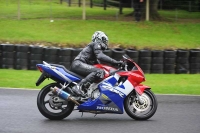 Motorcycle-action-photographs;Trackday-digital-images;cadwell;cadwell-park-photographs;event-digital-images;eventdigitalimages;motor-racing-louth-lincolnshire;no-limits-trackdays;peter-wileman-photography;trackday;trackday-photos